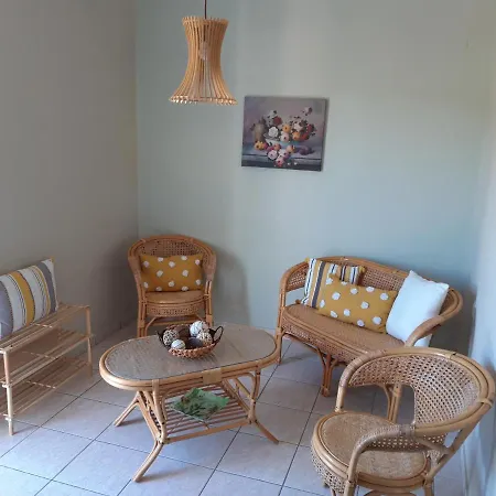 Oasis Amoudi