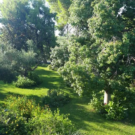 Pensjonat Oasis Ammoudi