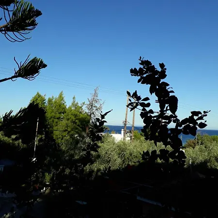 Oasis Penzion